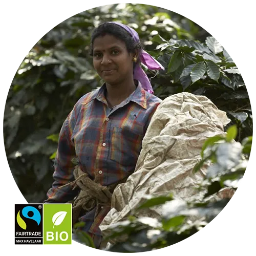 Unsere Boostbar Bohnen sind Bio und Fairtrade zertifiziert.