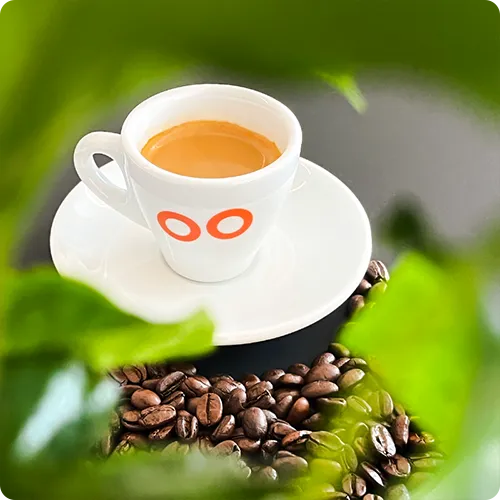 Organic & Fairtrade coffee concepts by Boostbar.